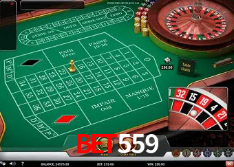 Descubra o Mundo do Cassino Online com bet559